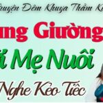 Truyện Đêm Khuya Đặc Sắc - Tâm Sự Thầm Kín Cùng Mẹ Nuôi